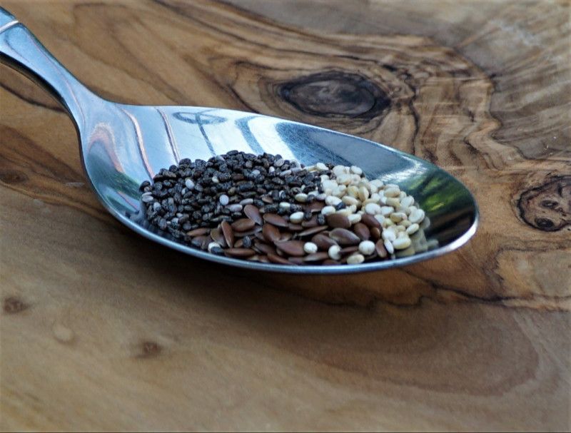 Mikrobiologische Therapie